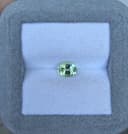 Tourmaline Verte Ovale de 1,03ct