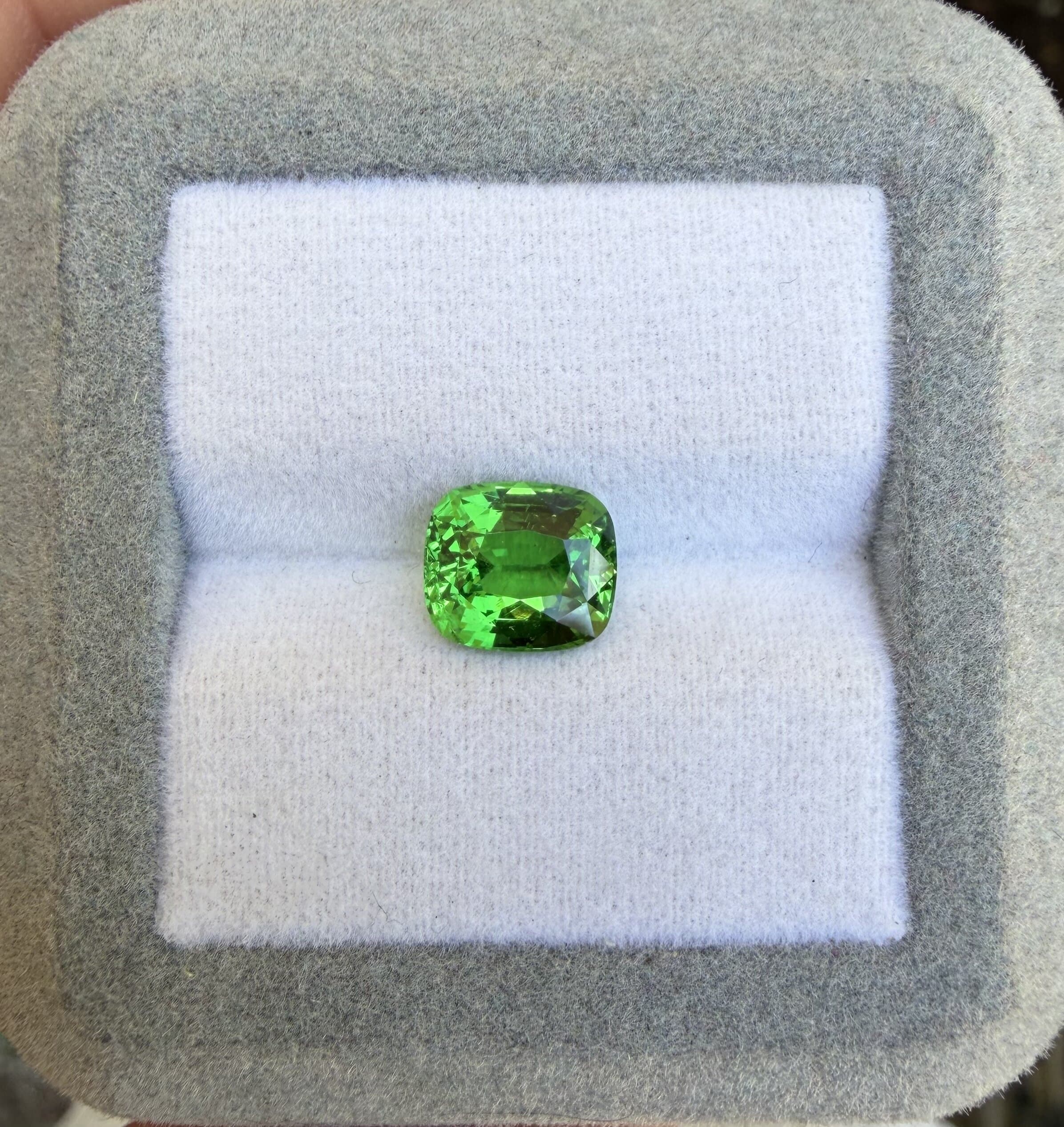 Grenat Coussin de 2,66ct