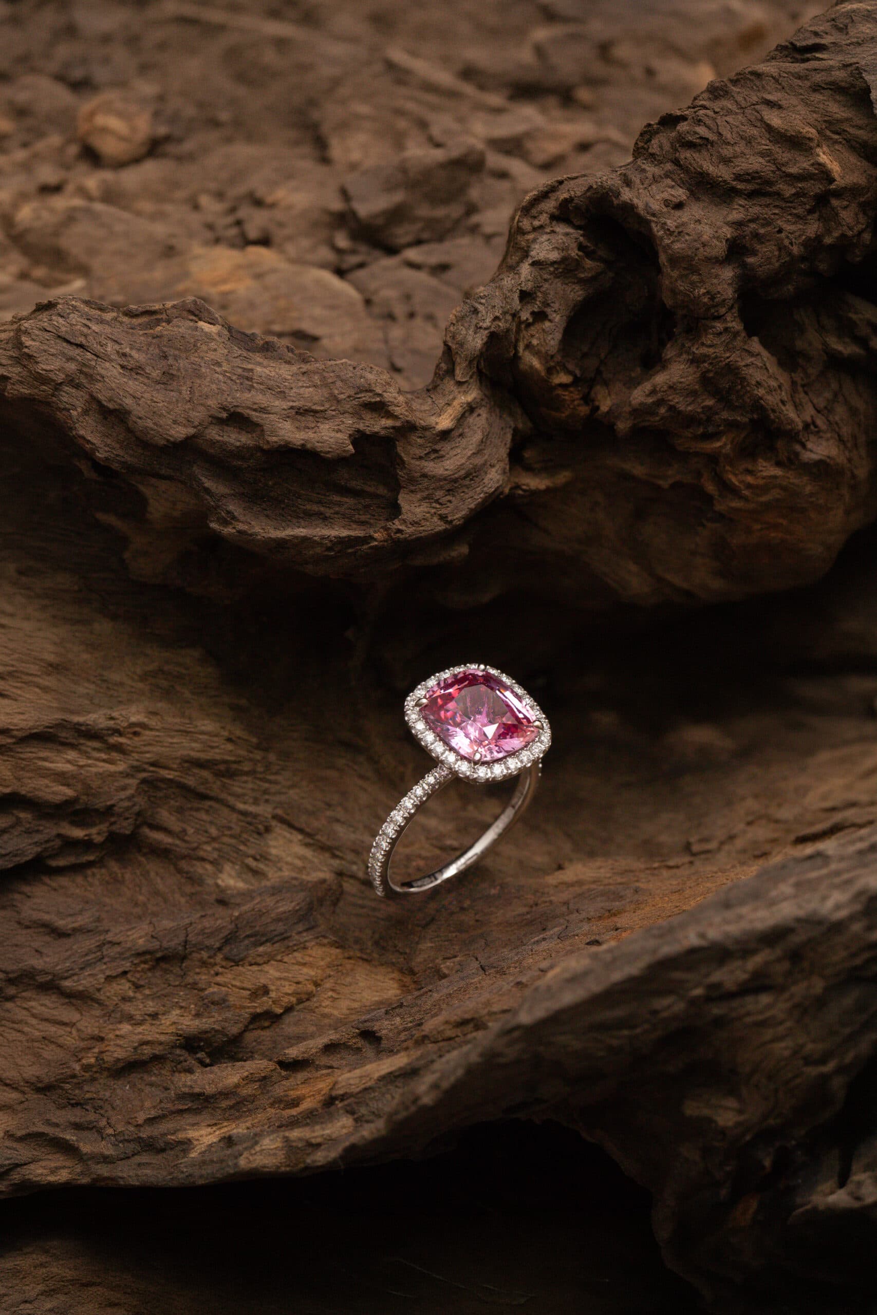 saphir padparadscha bague de fiançailles shooting bois